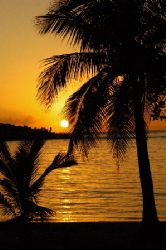 This sunset photo was taken at Half Moon Bay, Roatan, Hon... by Shawn Jackson 